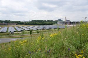 Zonnepark panelen bloemen